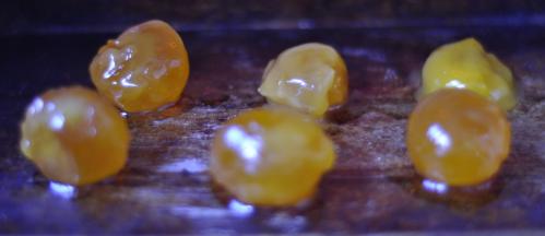 5、蛋黄用油泡一晚上后，烤箱上下火100预热10分钟中层烤10分钟，处理好备用