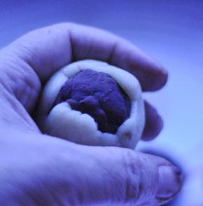 7、然后用月饼皮包住有蛋黄馅的豆沙；用两手把饼皮慢慢往上推，一直到彻底包住豆沙；包的过程中注意饼皮薄厚均匀、这样不容易露馅