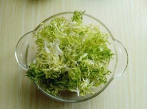 泡好的苦菊捞出淋干水份。