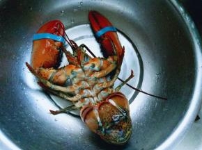 用干净的牙刷刷干净。