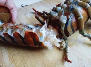 这样尾部的肉就下来啦！