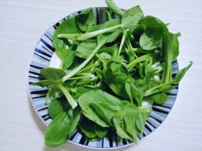 鸡毛菜洗干净，切碎。