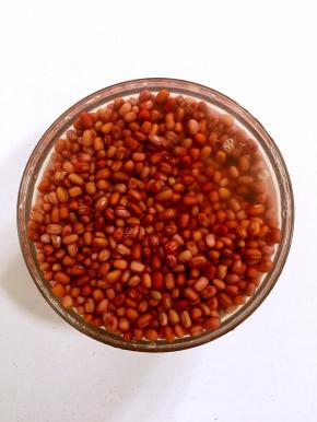 这就是浸泡了24小时后的红豆，已经膨胀了好多呢！