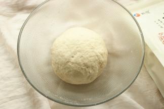 用手揉成光滑的面团，开始发酵。