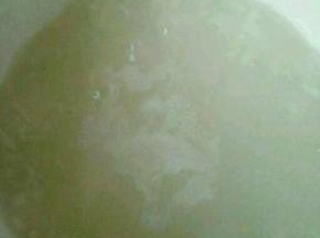 大米洗干净，放入BB锅中，加够足量的水慢慢熬。