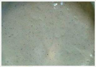 再把两者混合在一起，用搅拌刀以Z字型搅拌均匀。