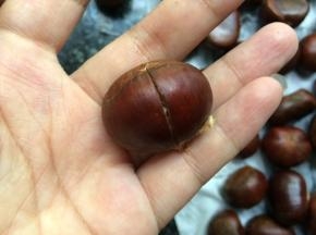 用刀划出一道，切到肉