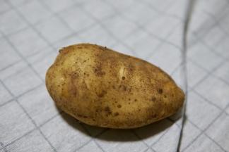 准备一个新鲜的土豆