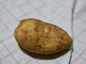 准备一个新鲜的土豆