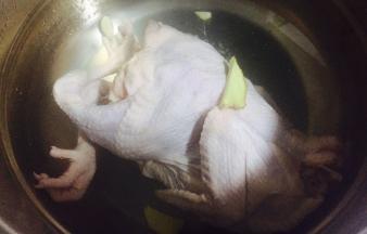 烧一锅清水，加入适当姜片、料酒，水开后放入清洗干净的整鸡，烫至表皮收紧立即捞出放入冰水中冷却。然后再次放入沸水中小火煮25分钟