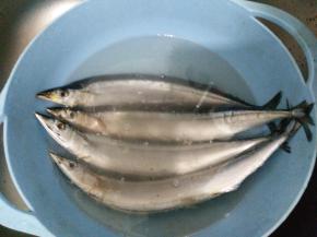 秋刀鱼解冻后从腹部剖开，去除内脏和黑膜，清洗干净后沥干水分。