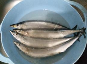 秋刀鱼解冻后从腹部剖开，去除内脏和黑膜，清洗干净后沥干水分。