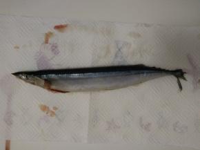 用厨房纸巾吸去每条鱼身上多余水分。