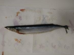 用厨房纸巾吸去每条鱼身上多余水分。