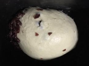4.待第二个揉面程序还剩3分钟左右的时候，加入蔓越莓干，至揉面结束进行发酵！