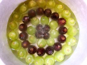 用刮棒搅拌几下，减少点气泡，之后趁热放入装满葡萄粒的模具内