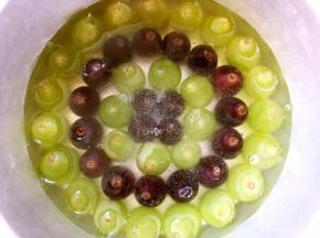 用刮棒搅拌几下，减少点气泡，之后趁热放入装满葡萄粒的模具内