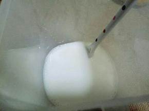 首先把砂糖，和乳酸菌加入面包桶里，先加入240mL的牛奶，就是一袋，搅拌均匀，使糖融化。再继续把另外的纯牛奶加入。，搅拌均匀即可。