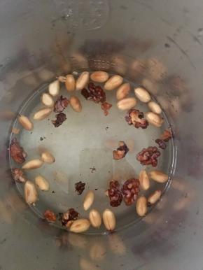 大米洗干净放入豆浆机，倒入水，再倒入核桃和花生选择米糊键就可以了