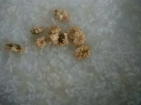 粥熬好了加入泡好的菊花，盖上锅盖焖一会