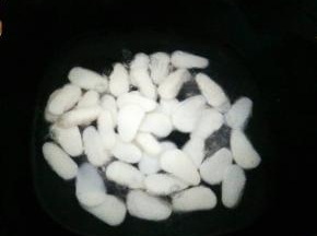 再把年糕放入已开的水中煮软