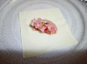 取一张馄饨皮，盛一勺肉馅。