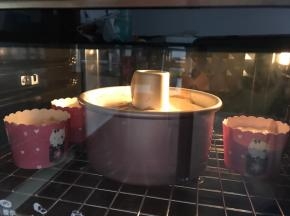 模具放入烤箱中下层，上下火160度烤45分钟。出炉轻摔震出热气，倒扣放凉2小时后脱模。