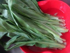 油麦菜洗净。