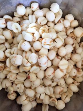 去芯去皮后的莲子洗净加入适量的水，放入压力锅中