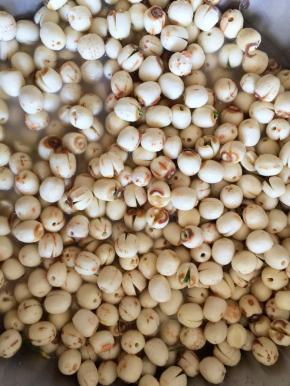 选去皮去芯的莲子，洗净，用水泡发四小时以上