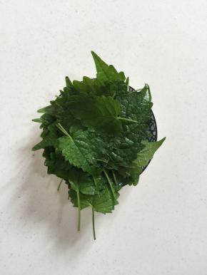 这就是今天这道菜的秘密武器～大茴香（这是我们这里的叫法，有的地方叫鱼香菜！）做鱼的时候放一点儿，鱼就格外的好吃！