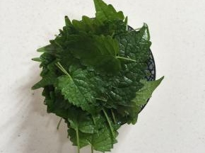 这就是今天这道菜的秘密武器～大茴香（这是我们这里的叫法，有的地方叫鱼香菜！）做鱼的时候放一点儿，鱼就格外的好吃！