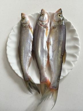 小白鱼清理干净了，用盐腌制片刻入味儿！