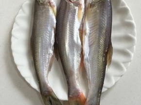 小白鱼清理干净了，用盐腌制片刻入味儿！