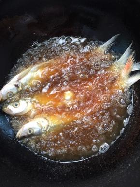 锅烧热倒入适量的油烧至七成热，放入腌制好的小白鱼中火煎制！
