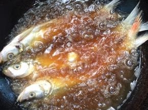 锅烧热倒入适量的油烧至七成热，放入腌制好的小白鱼中火煎制！