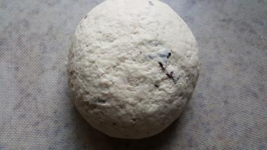 3.揉成团后，放在容器中室温发酵1小时后，覆盖保鲜膜放入冰箱冷藏中，隔夜发酵。