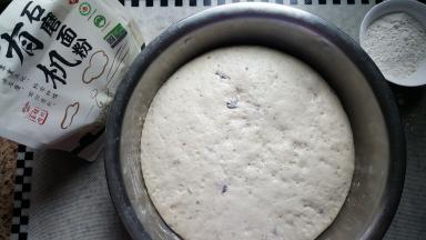 4.第二天取出面团已经发酵为原体积的3到4倍大。