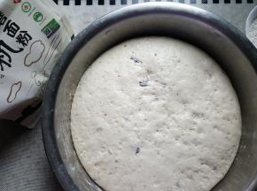 4.第二天取出面团已经发酵为原体积的3到4倍大。