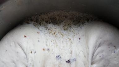 5.且组织有明显的蜂窝状即为发酵好了。