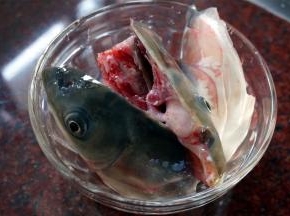 草鱼头，切块。（买的时候，让鱼档老板帮忙切块。）