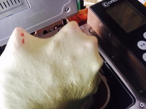 此时菠菜粉的面团也和完了！