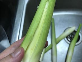 先把买回来的茭白用刀划一刀剥去外壳。