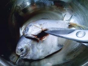 再见刚内脏清理干净。