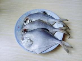 依次做完，将鲳鱼洗干净。