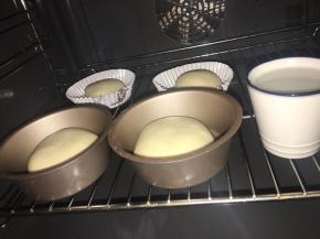 放入温度32度，湿度百分之75环境下进行二发