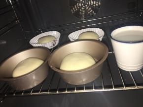 放入温度32度，湿度百分之75环境下进行二发