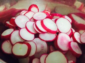 去掉根部头部，切片放入器皿中