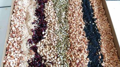 所需坚果剪小备用