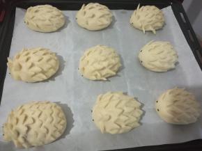 全部做好放烤盘，送入烤箱（烤箱不开火）进行二发，旁边放碗热水增加湿度。